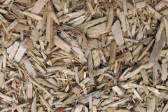 biomass boilers Tregear