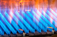 Tregear gas fired boilers